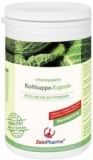 Zein Pharma Kohlsuppe Kapseln, 120 Kapseln