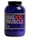 Perfect Nutrition Big Muscle XXL, 1,5 kg Dose