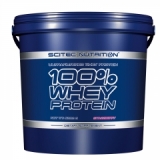 Scitec Nutrition 100% Whey Protein, 5 Kg Eimer
