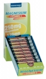 EnergyBody Magnesium, 20 x 25 ml Fläschchen