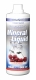 MetaSport Mineral Liquid+L-Carnitin+Magnesium,1:80, 1000 ml Flas