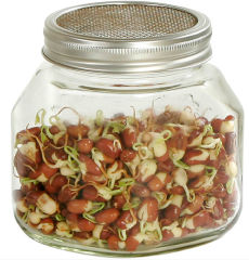 Eschenfelder Sprossenglas Systeme Keimglas 750 ml